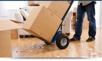 Top Removals image 1